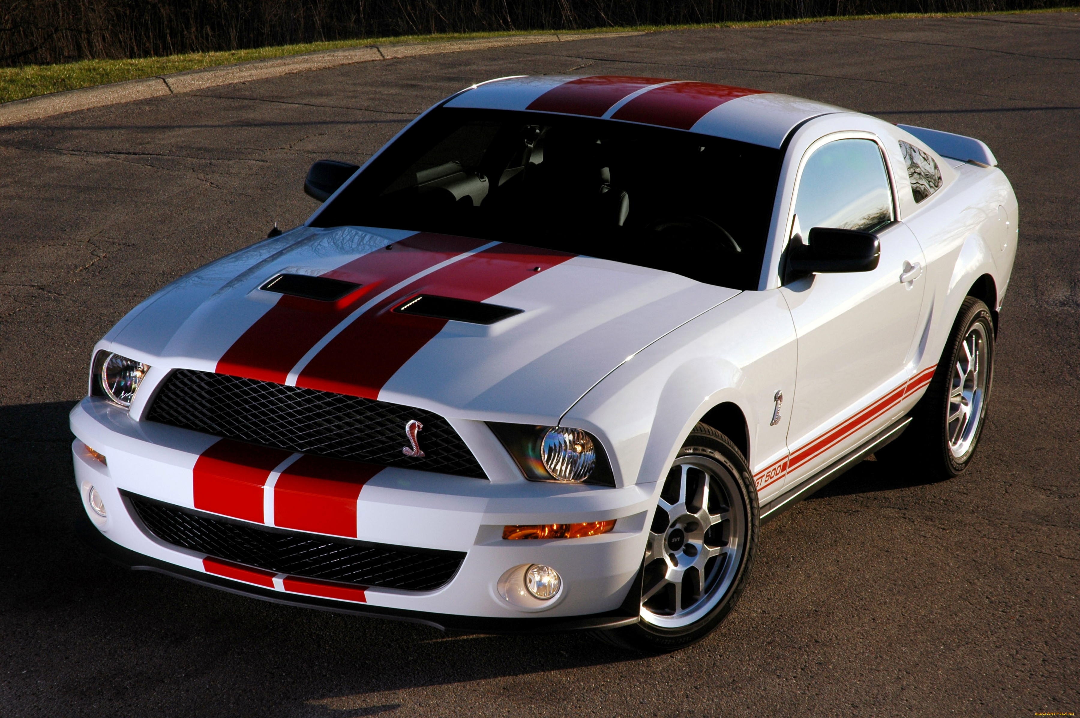 , mustang, shelby, vip, white, gt500, 2007